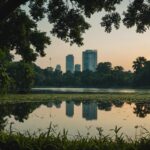 fireflies in urban bangkok