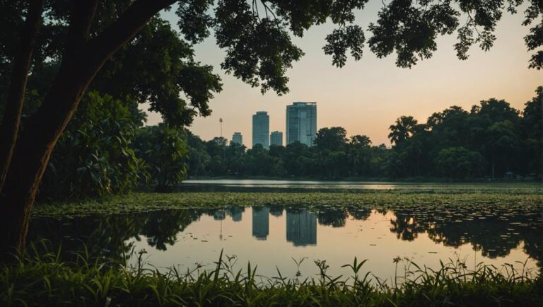 fireflies in urban bangkok